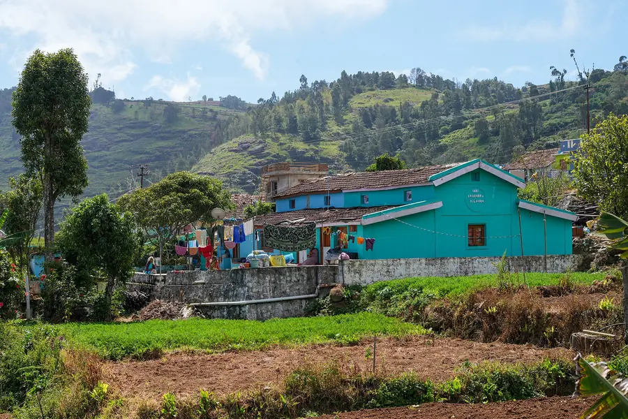 Vegetable plots beside farmhouses on a green hillside